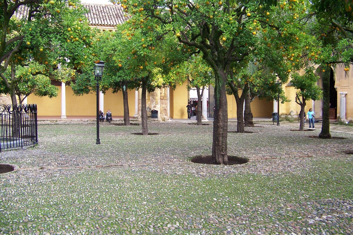 Patios de los Naranjos Córdoba